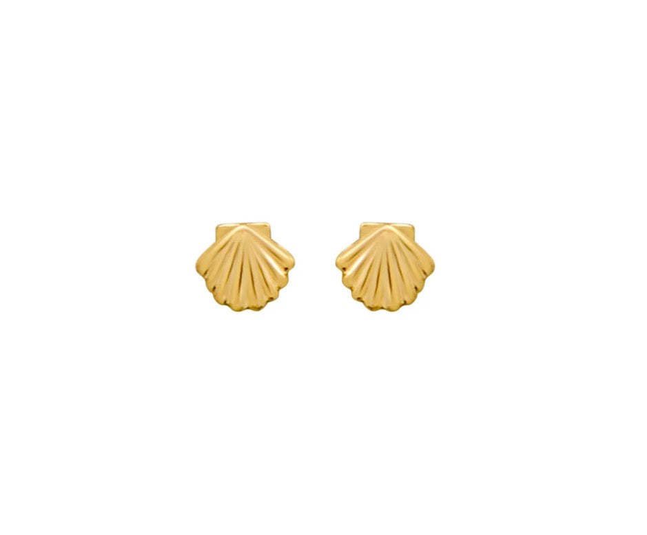 Seashell Stud Earrings