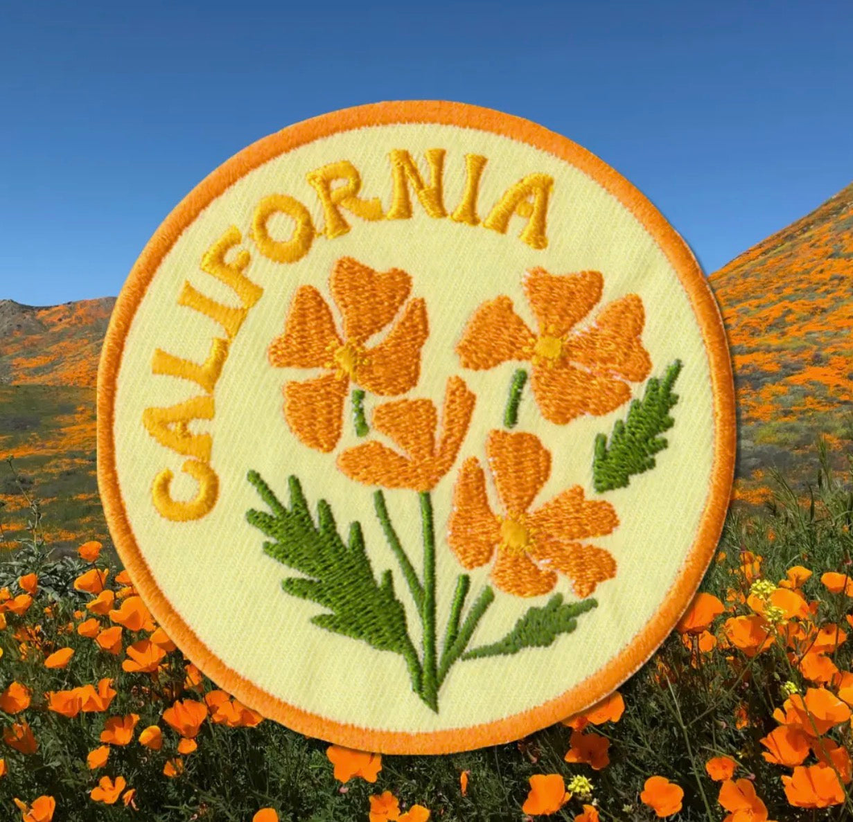 California Poppy Patch