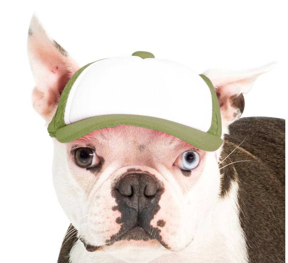 Foam Dog Trucker Hats- Plain