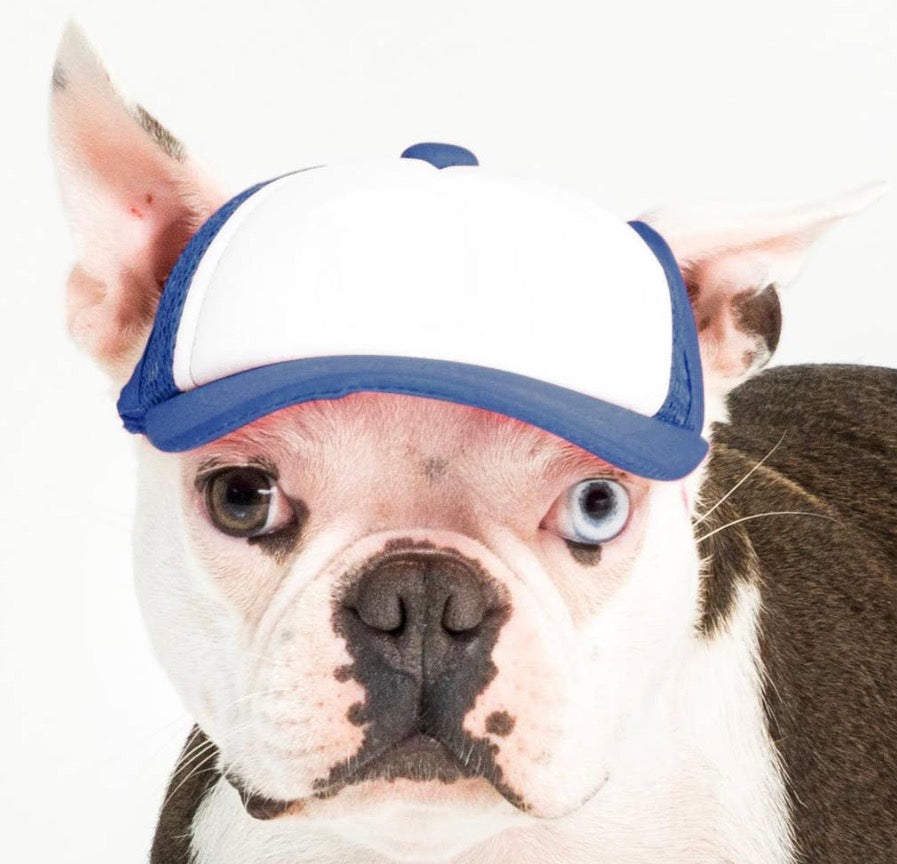 Foam Dog Trucker Hats- Plain