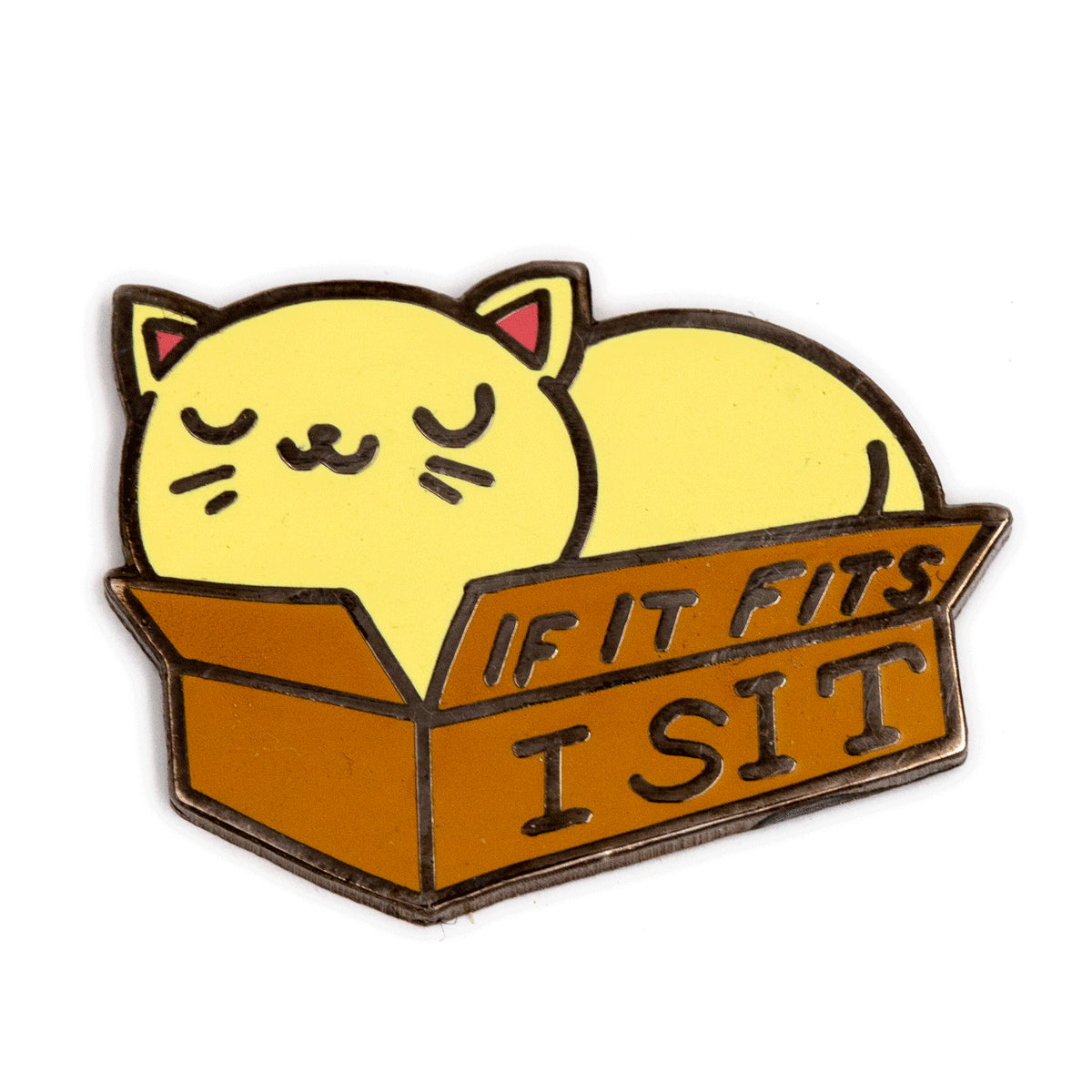 If it fits I sit pin
