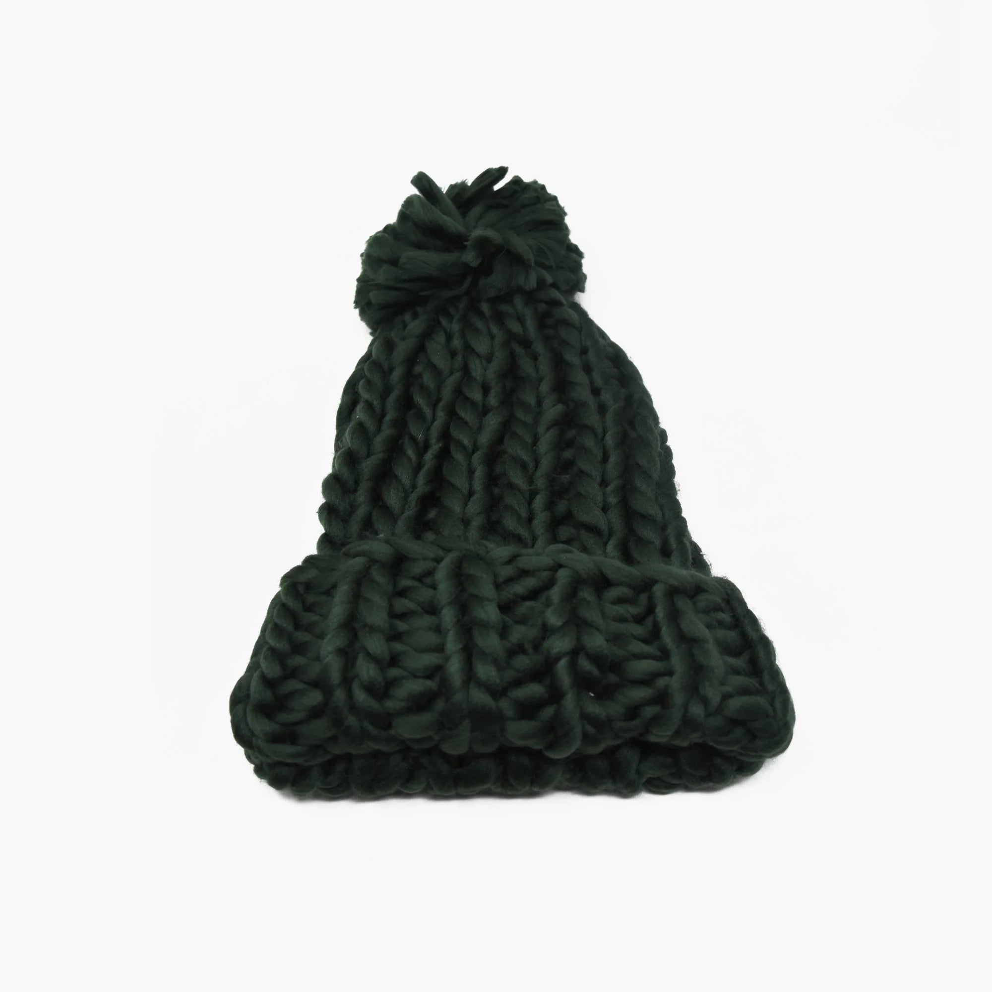 Wyeth Chunky Beanie