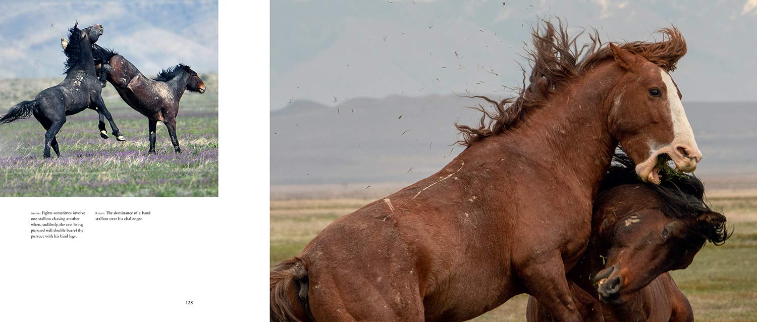 Wild Horses of the West- Book