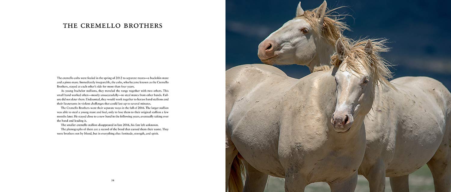 Wild Horses of the West- Book