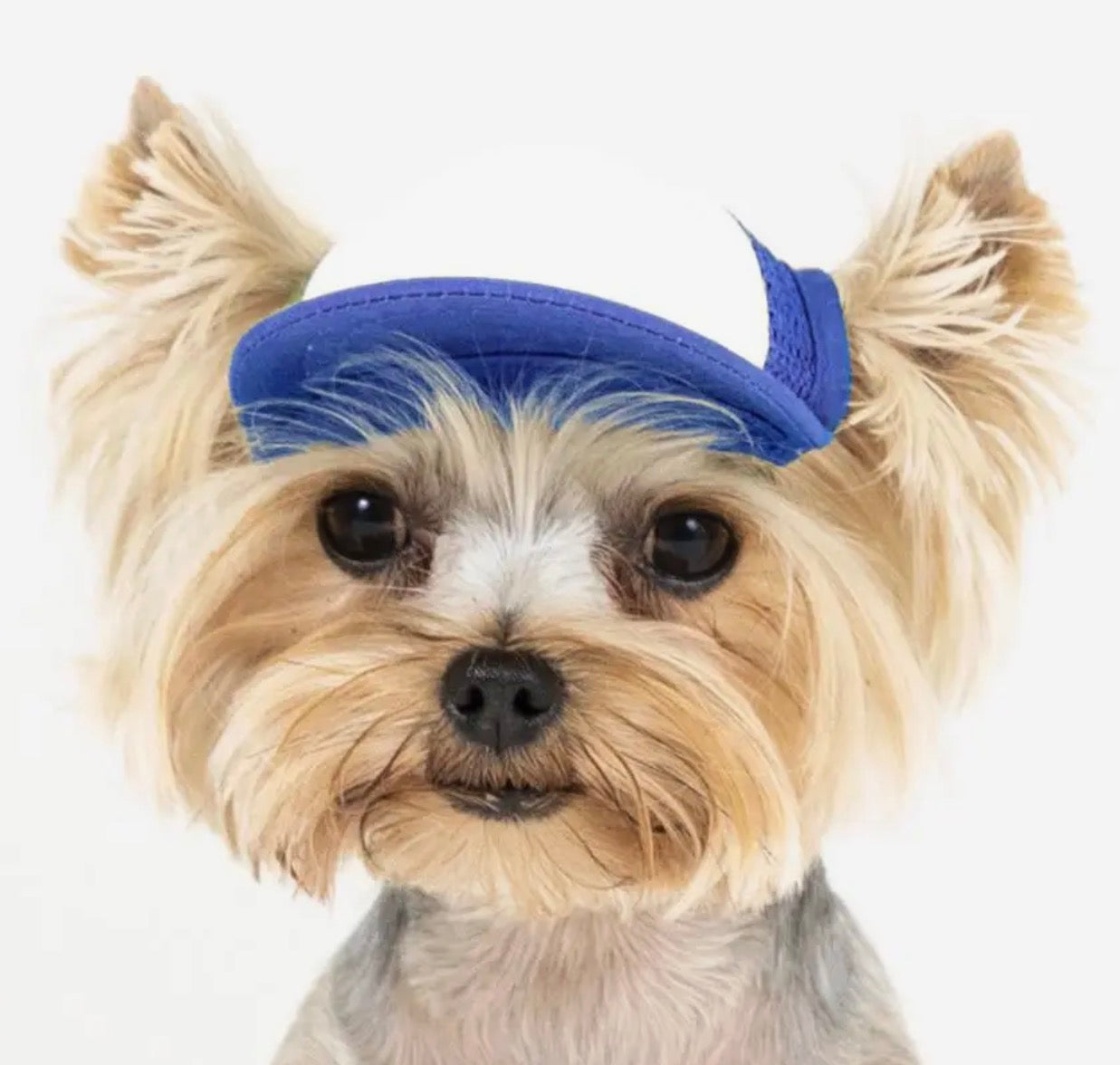 Foam Dog Trucker Hats- Plain