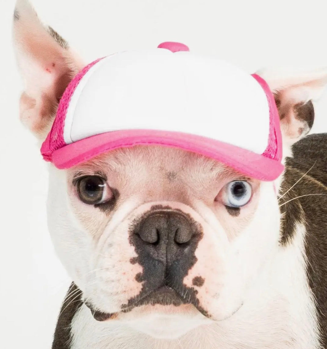 Foam Dog Trucker Hats- Plain