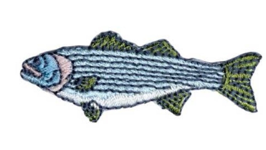 Bass Fish Patch