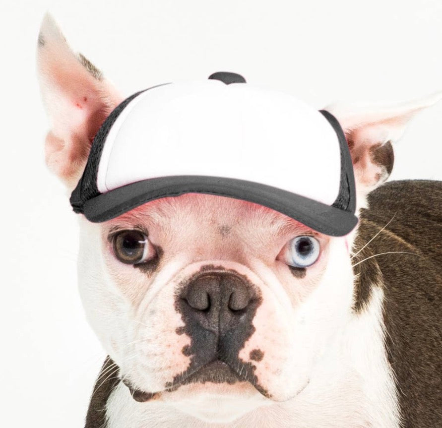 Foam Dog Trucker Hats- Plain