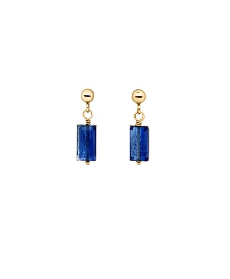 Nightingale Earrings