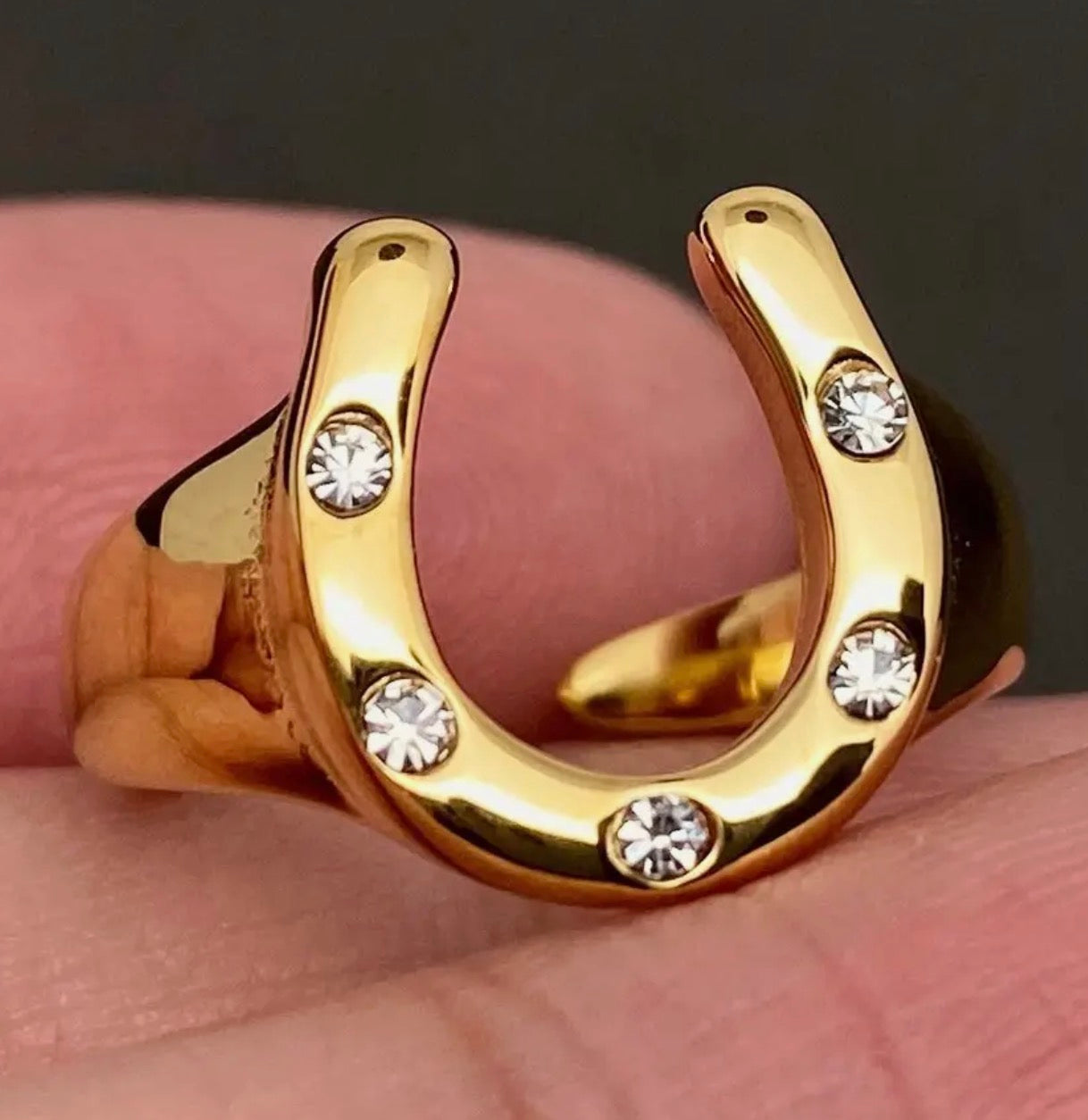 Horse shoe Ring