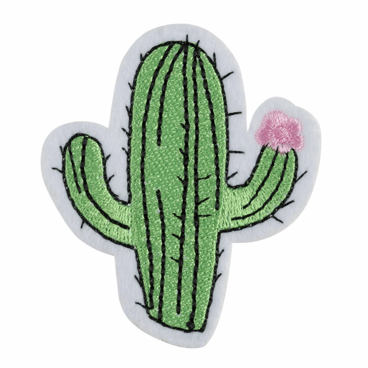 Cactus with pink flower patch