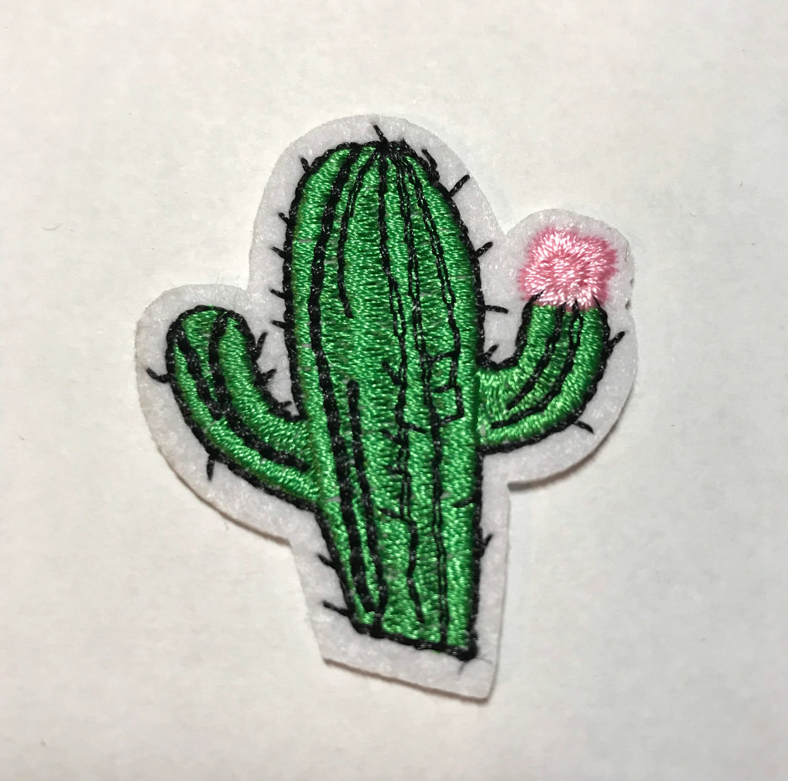 Cactus with pink flower patch