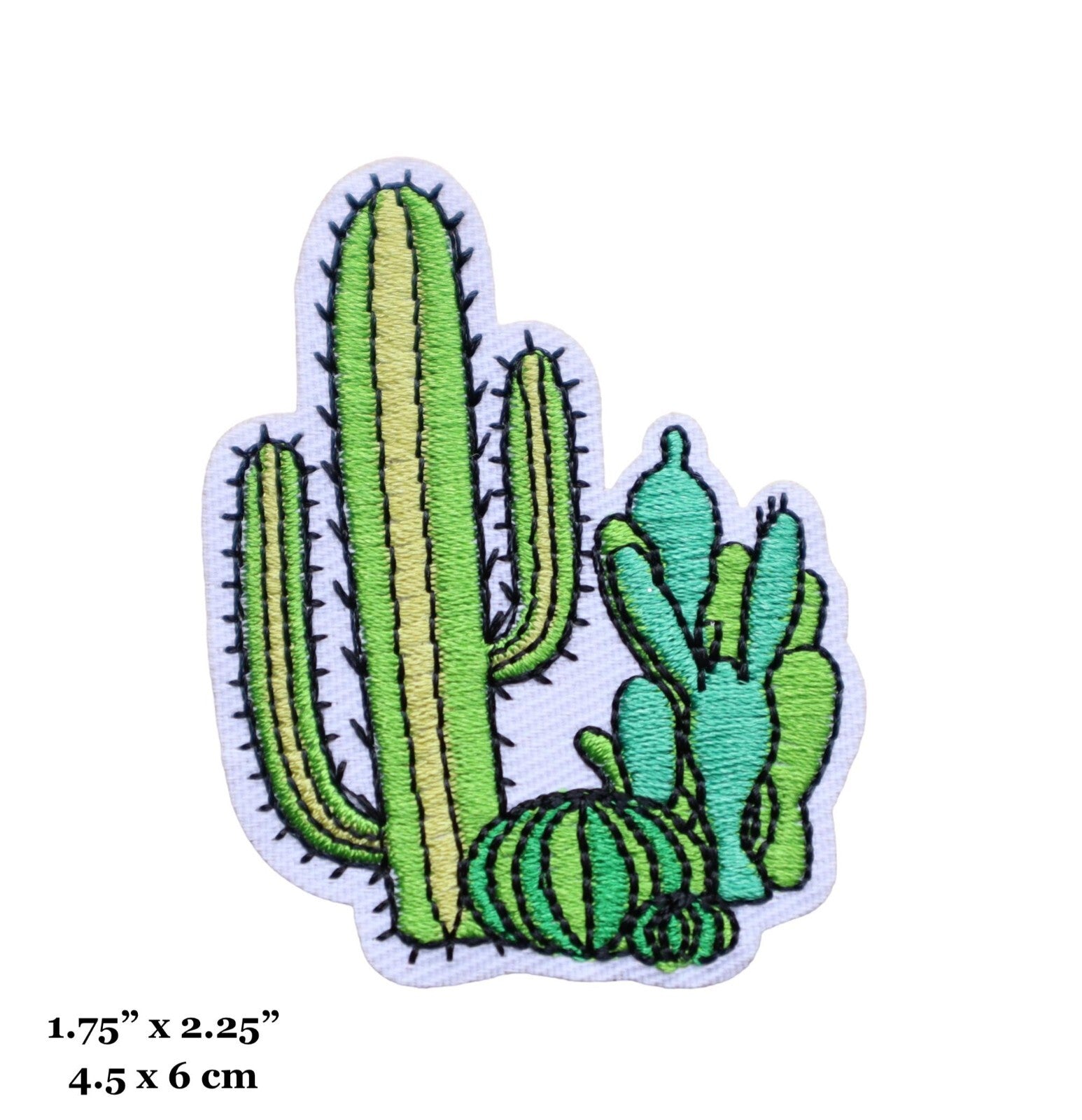 Cactus patch