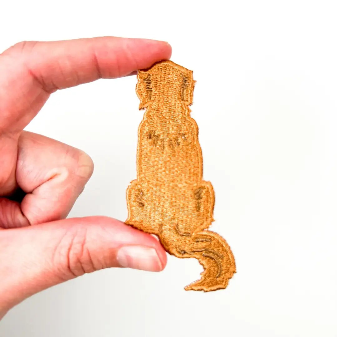 Golden retriever looking away patch