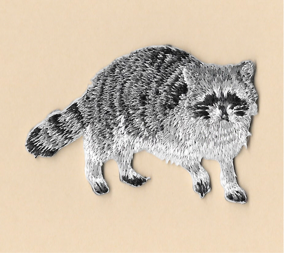 Raccoon patch