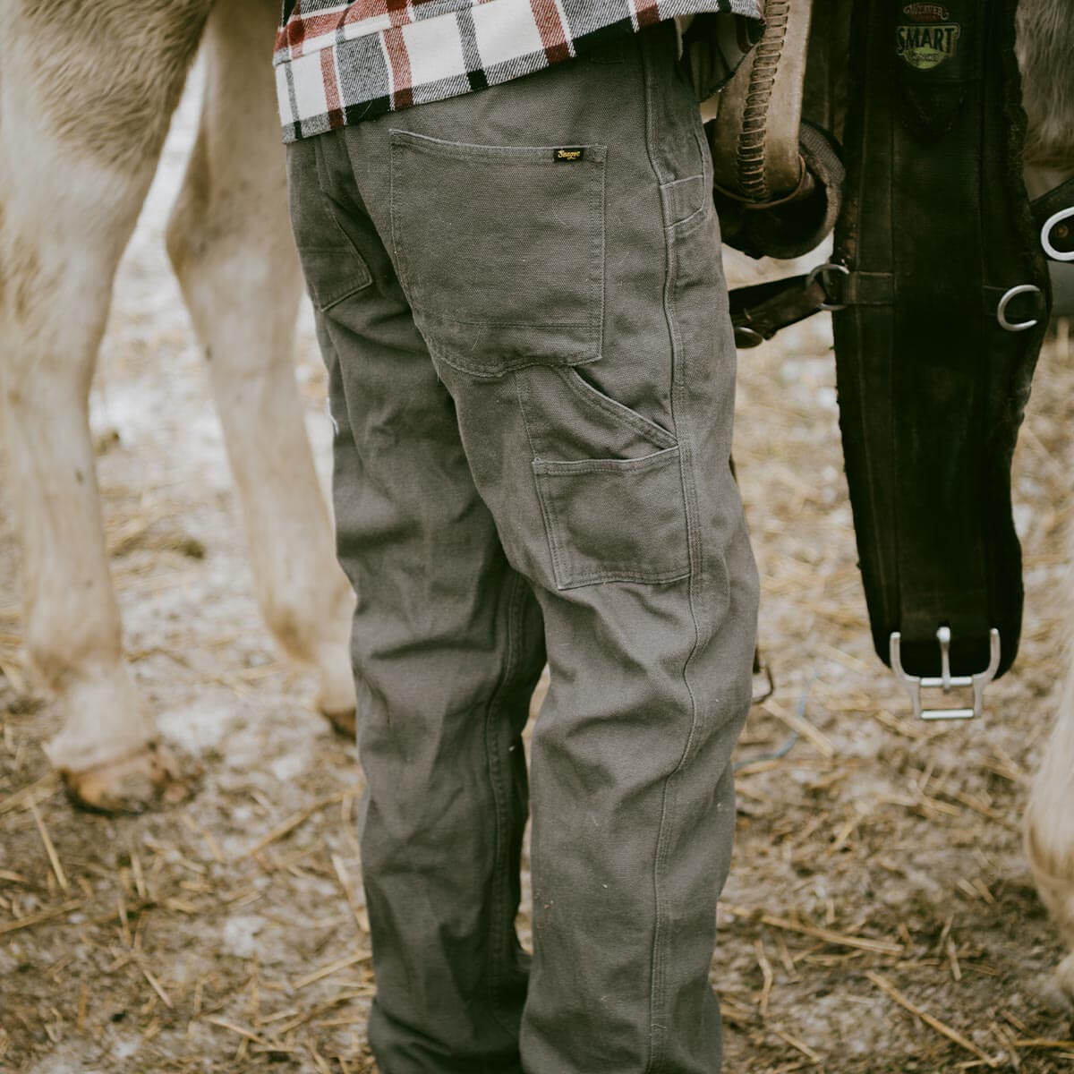 Bison Canvas Pant in Darkwood