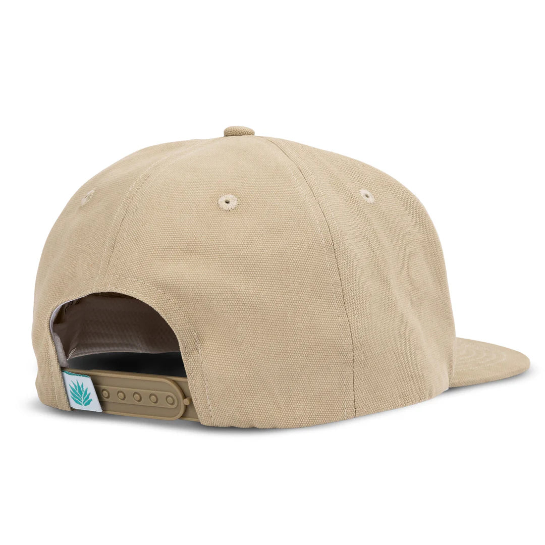 WILD WILD HORSES HAT