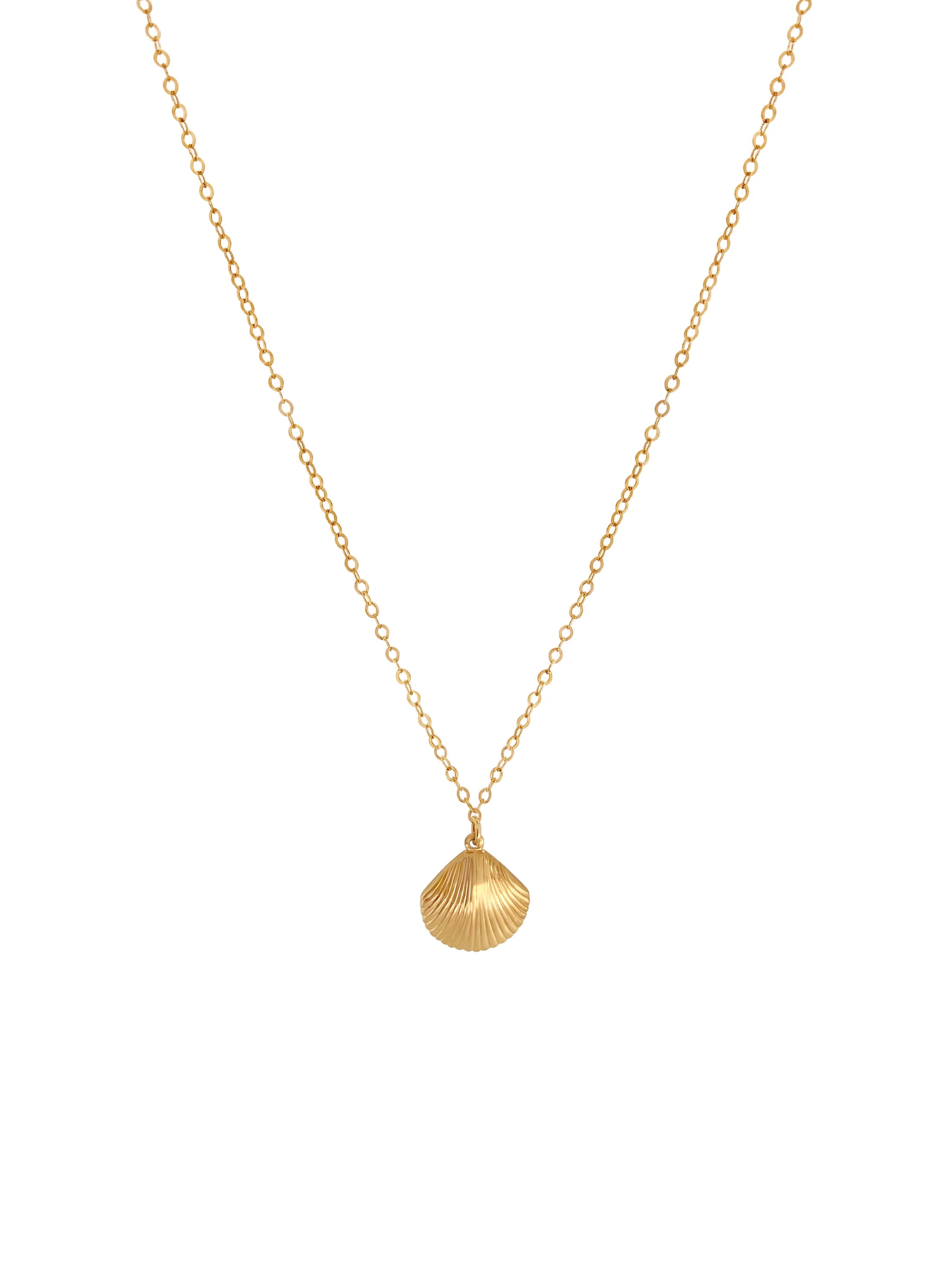 Sea Shell Necklace