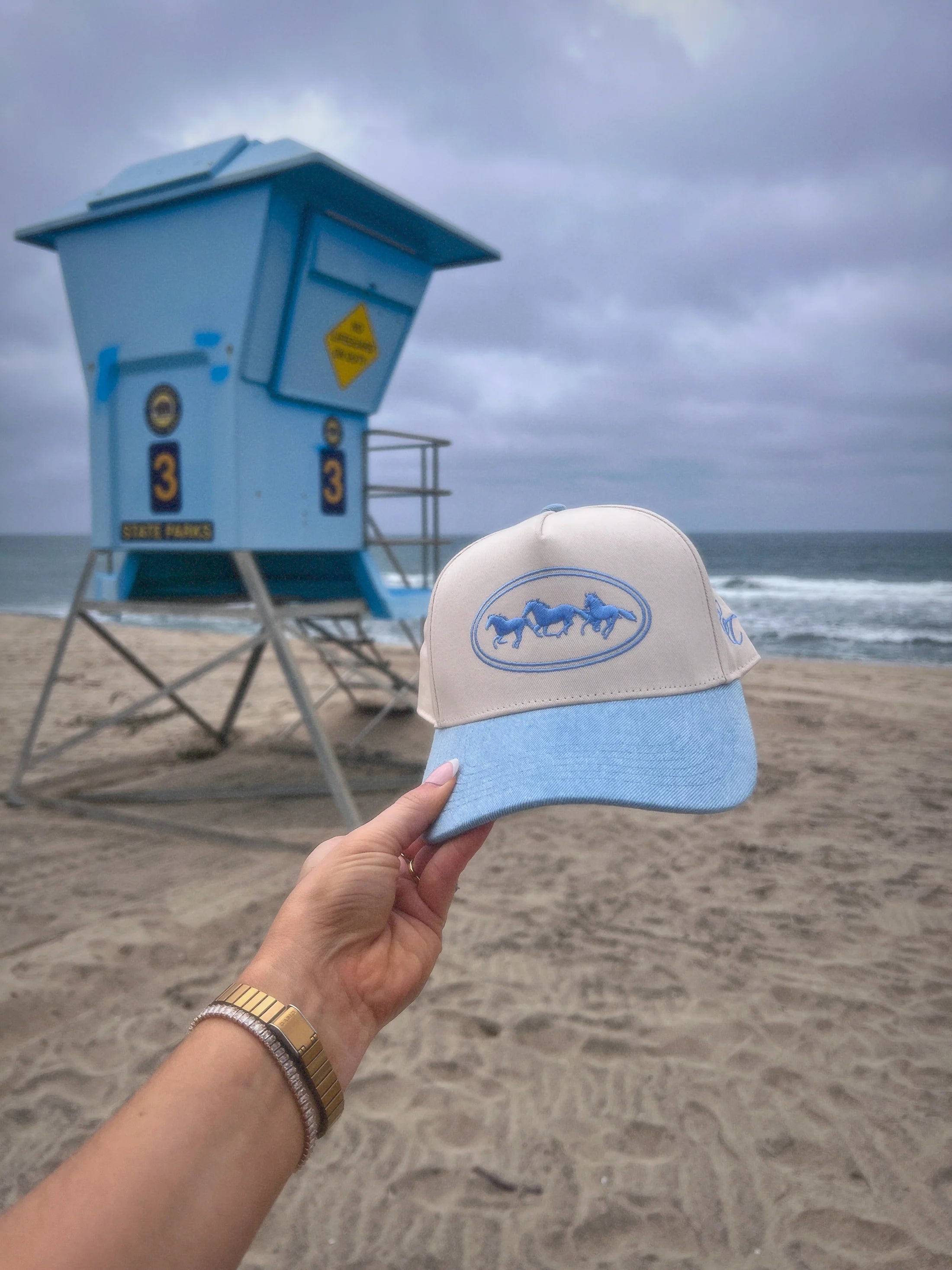 Denim Horses Trucker Hat
