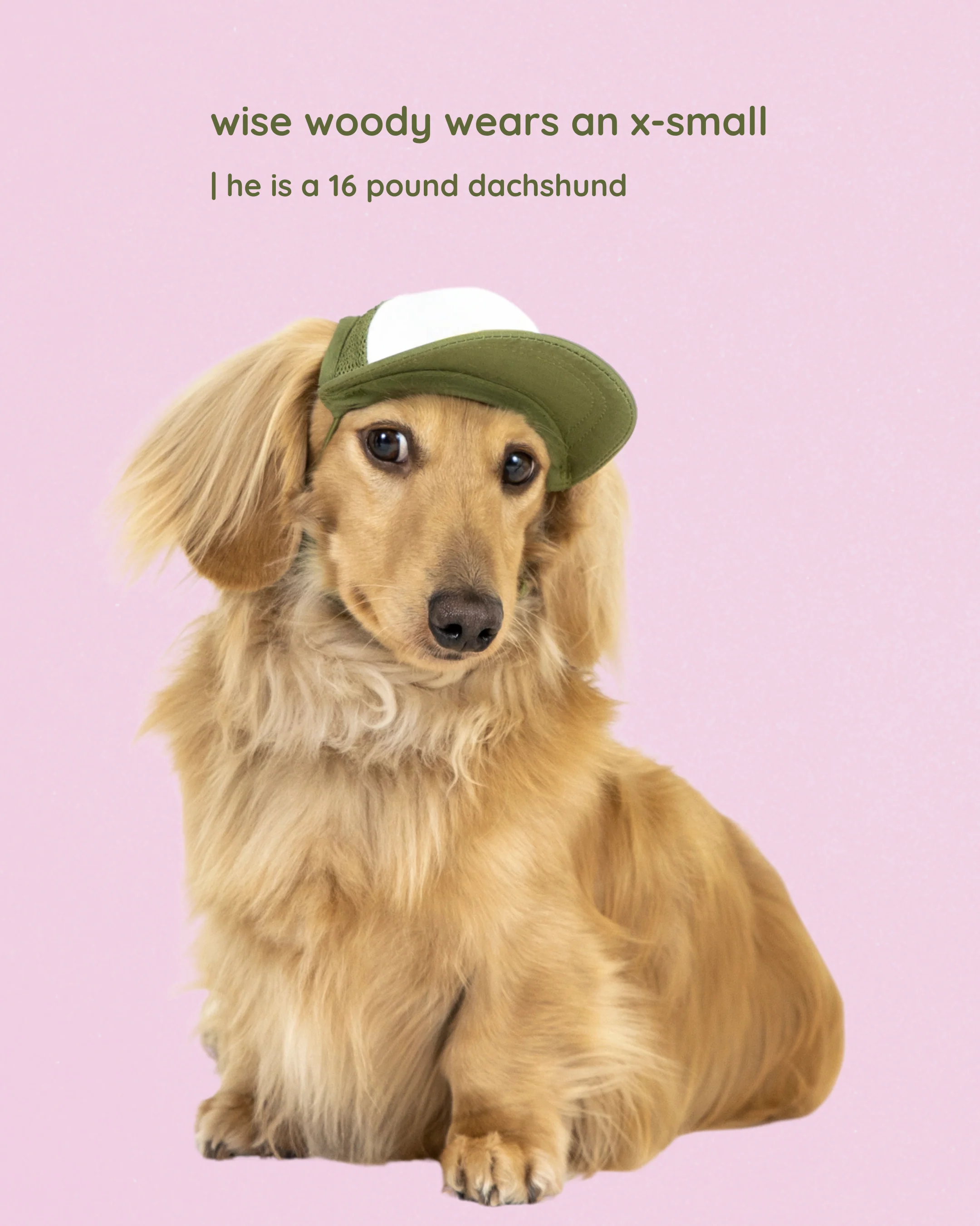 Foam Dog Trucker Hats- Plain